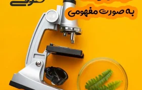 چگونه زیست را مفهومی بخوانیم