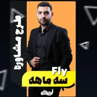 مشاوره سه ماهه فلای فولیتو