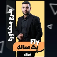 مشاوره یکساله فلای فولیتو