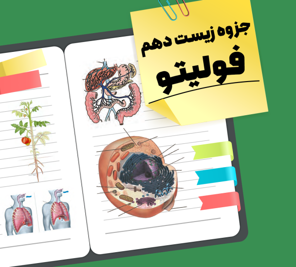 جزوه زیست دهم فولیتو